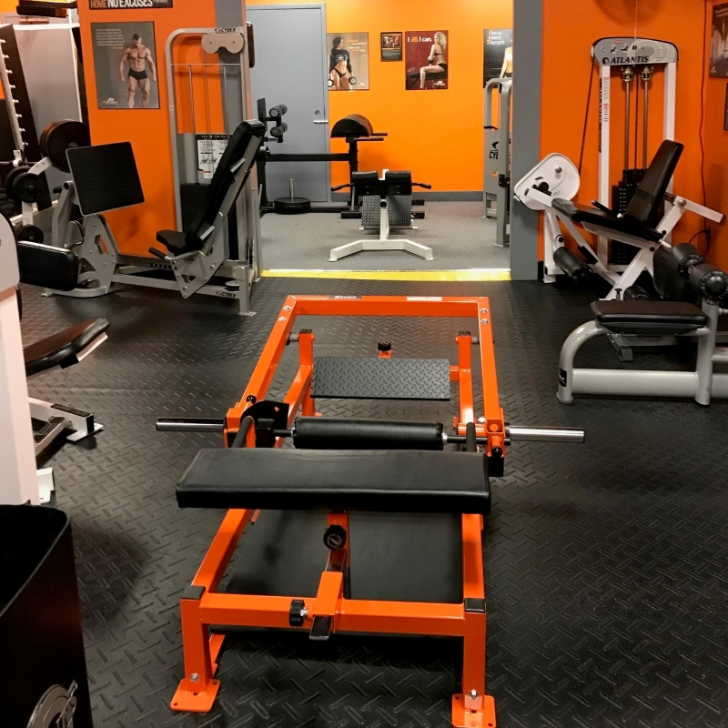 #555 Hip Thruster at The Fit Effect