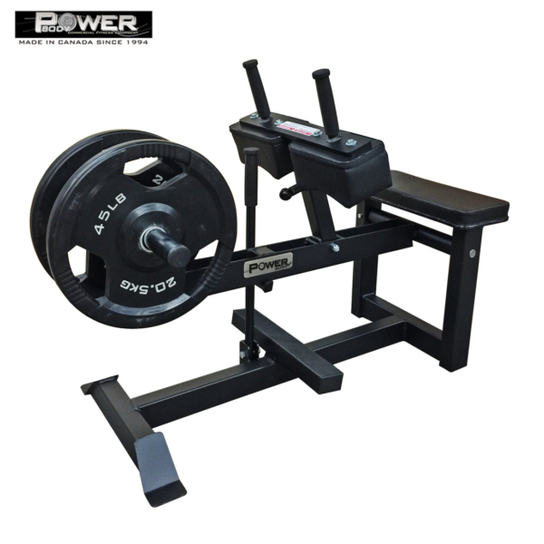 #1200 Seated Calf Olympic Plates loaded