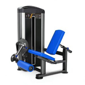 XS-405 Xtrme Leg Extension